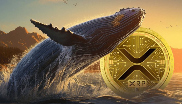 XRP鲸鱼市场震动数百万代币交易价格回升挑战052美元