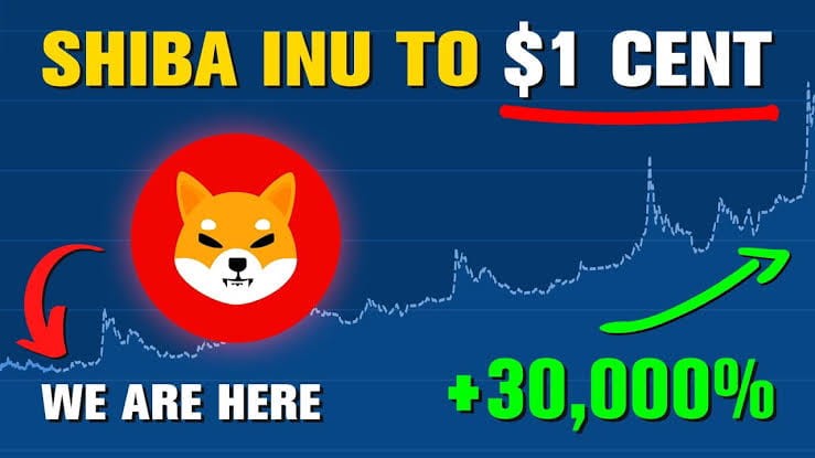 SHIB 代币销毁率飙升1539%：Shiba Inu 价格稳定的关键因素