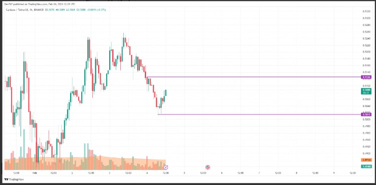 2 月 4 日卡尔达诺(ADA)价格分析 ADA/美元 汇率下跌2.81%，价格或将测试0.5015美元支撑位。