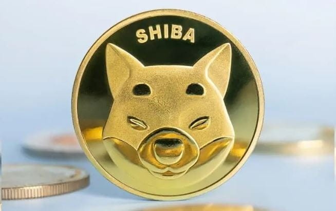 从SHIBA投资中吸取的宝贵教训