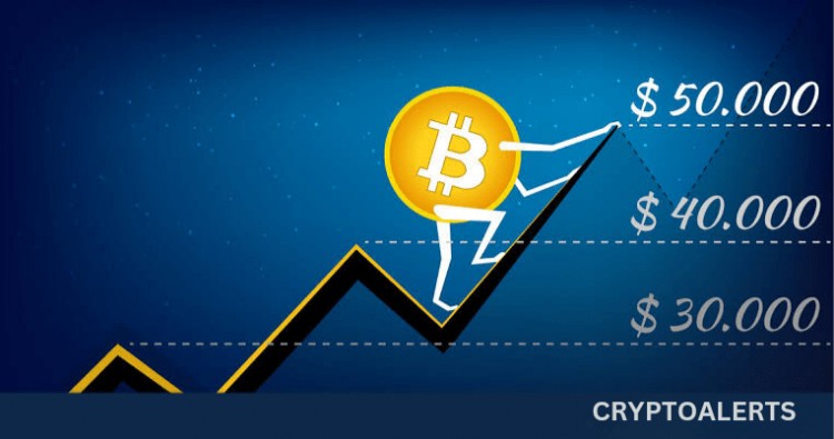 比特币关键因素触及5万美元 - 机构需求、利率枢轴、比特币减半等影响因素