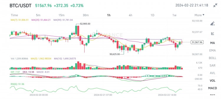 2024年2月22日比特币价格图表分析