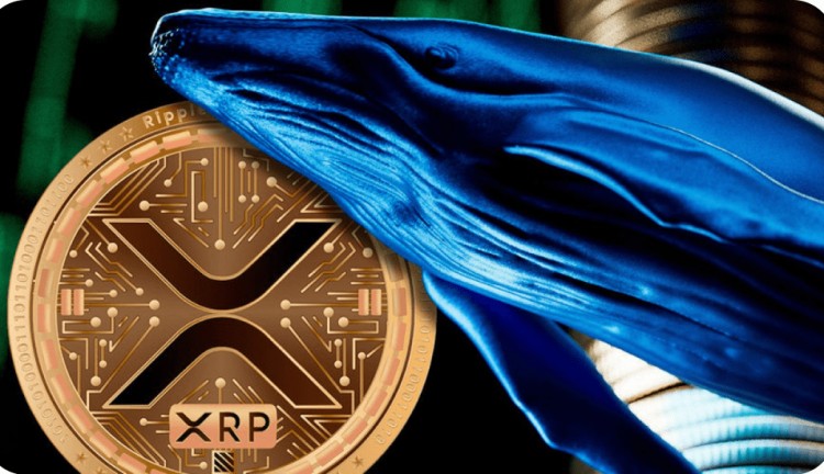 鲸鱼转移数百万XRP至交易所 | XRP价格下跌测试关键支撑位