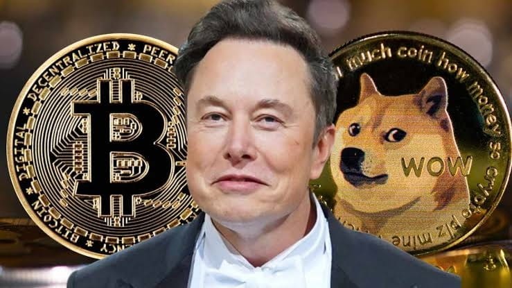 狗狗币和柴犬代币为何未上涨技术分析揭秘ELONMUSK否认持有SHIB币后的影响