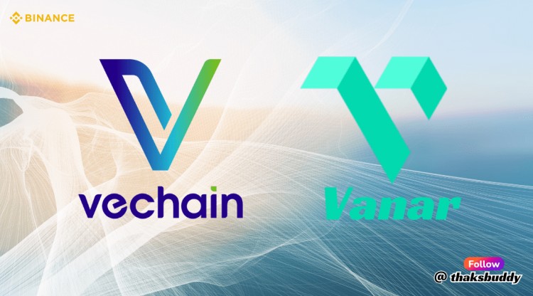 发现前途的低价山寨币：Chain Vanar和唯链