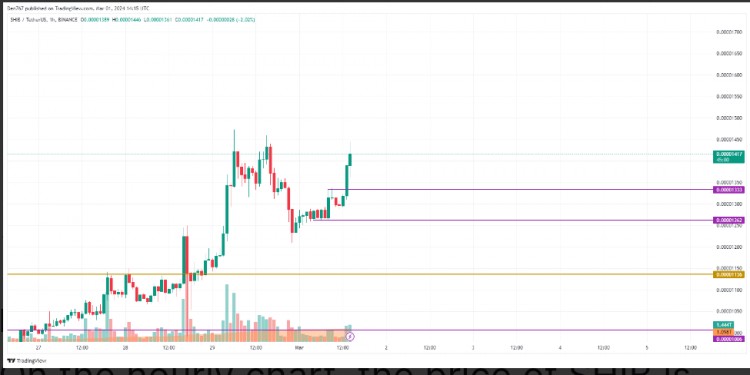 3月1日SHIB价格预测：SHIB/美元价格下跌0.16%，可能快速增长