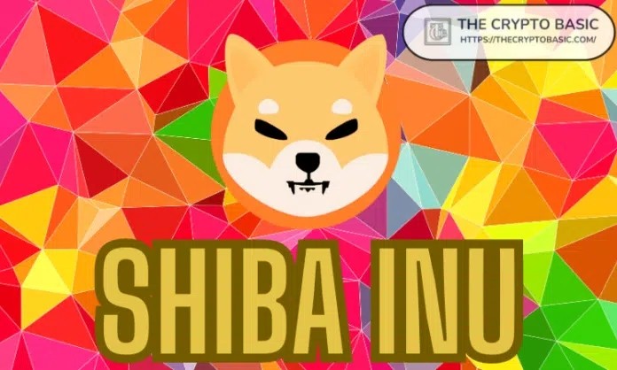 SHIBAINU的TREAT代币实用程序THECRYPTOBASIC