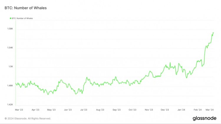 <a title='注册并实名送比特币' href='https://okk.meibanla.com/btc/okex.php' target='_blank' class='f_a'>比特币</a>鲸鱼数量增加