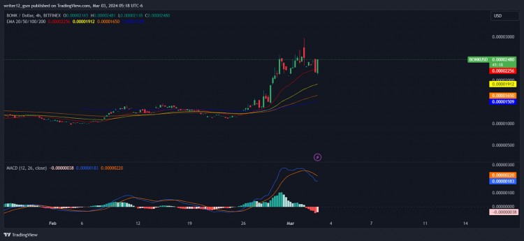 BONK加密货币价格预测会达到新高吗