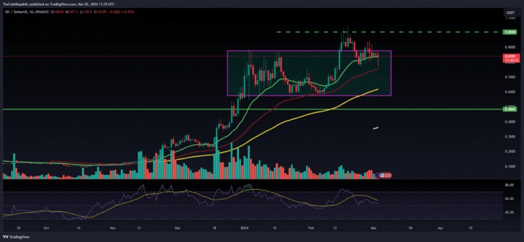 SEI Coin (SEI) Price Analysis: Volatility Continues, Bulls Struggle to Maintain Momentum