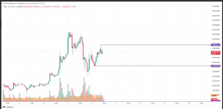 SHIB美元价格预测及分析3月6日更新