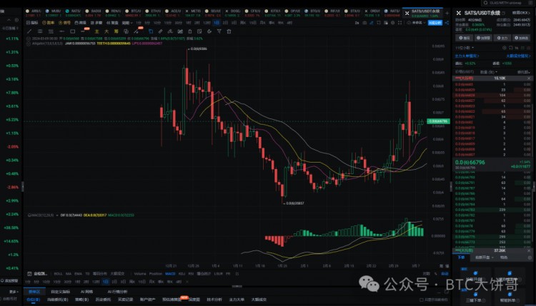 2024年真正的100倍币只有这6种