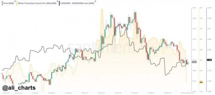卡尔达诺价格动荡鲸鱼能否推动ADA从最近的暴跌中复活