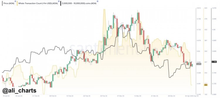 卡尔达诺价格动荡鲸鱼能否推动ADA从最近的暴跌中复活