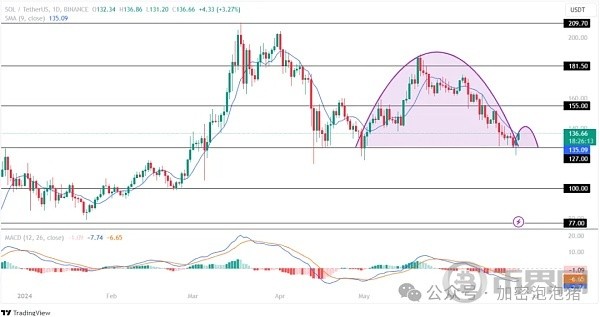 SOLANA价格重回关键支撑位上方SOL价格即将重新测试150美元
