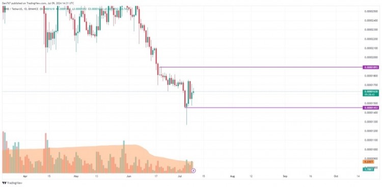 SHIB的向上移动可以持续到周末吗据COINMARKETCAP称前10名名单中的一些硬币已