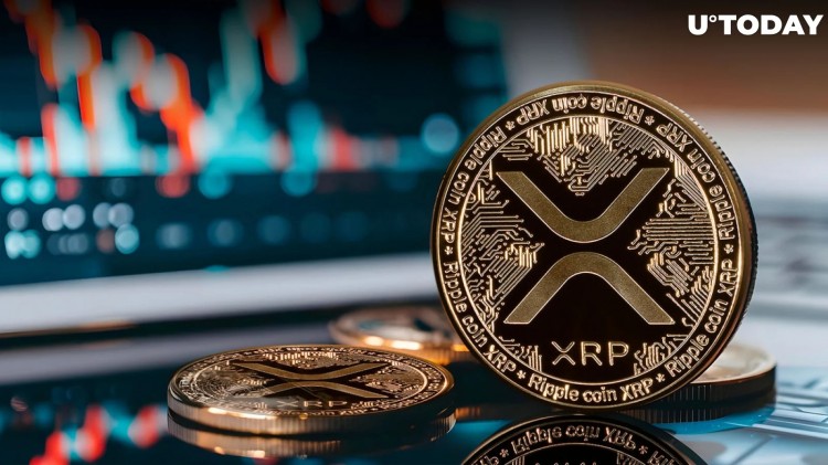 XRP再次回到06美元的价格大关证明了其恢复能力和购买力然而有一个重要的事实需要考虑