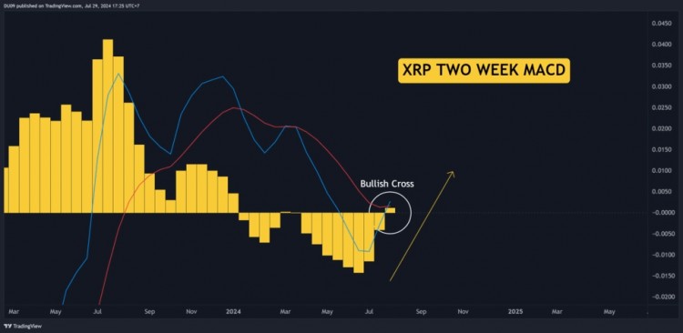 RIPPLEXRP技术分析