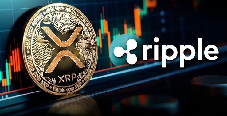 在其日線圖上XRP目前顯示出傳統的三