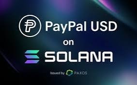 PAYPAL的PYUSD穩定幣在SOLANA區塊鏈上快速成長自5月推出以來